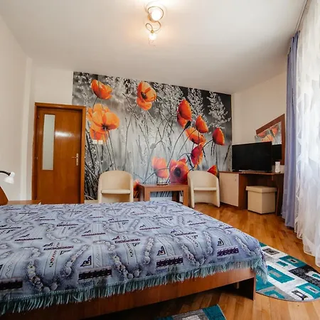Pensiunea Floare De Colt Hotel 3*