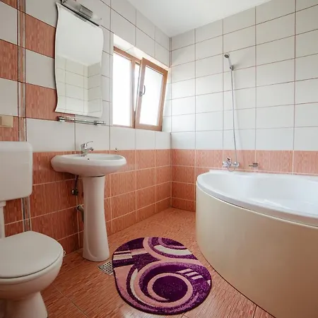 Pensiunea Floare De Colt 3* Dragoslavele
