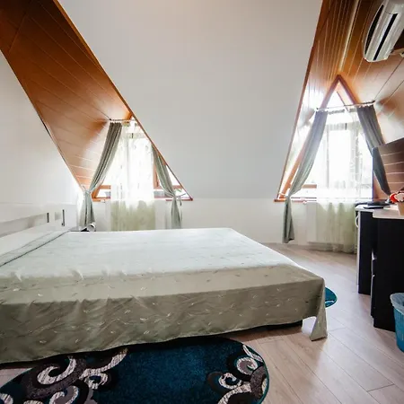 Hotel Pensiunea Floare De Colt 3*