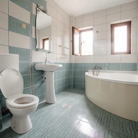 Pensiunea Floare De Colt Hotel 3*