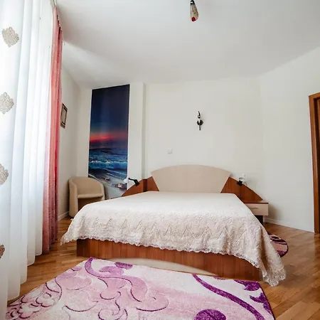 Hotel Pensiunea Floare De Colt 3*