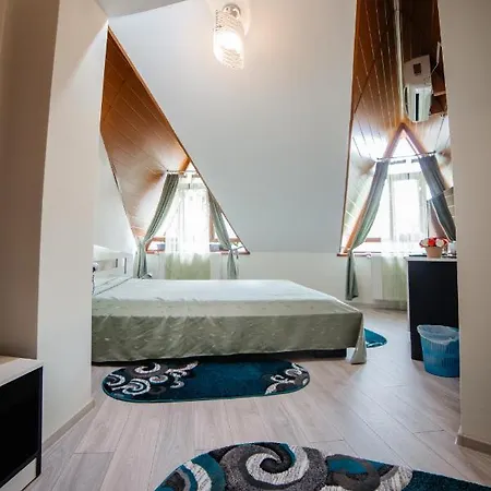 Hotel Pensiunea Floare De Colt 3*