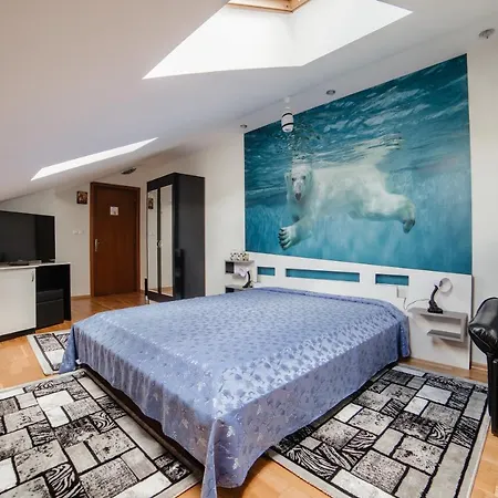 Hotel Pensiunea Floare De Colt Dragoslavele