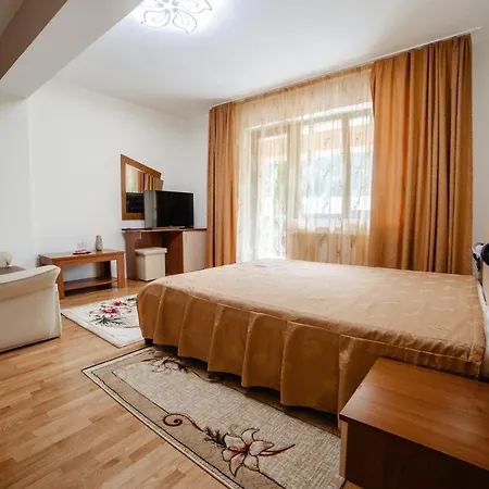Pensiunea Floare De Colt Hotel