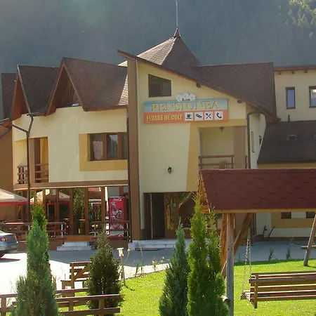 Pensiunea Floare De Colt Hotel Dragoslavele