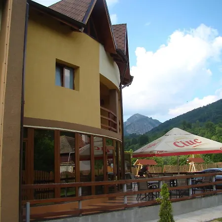 Hotel Pensiunea Floare De Colt Dragoslavele