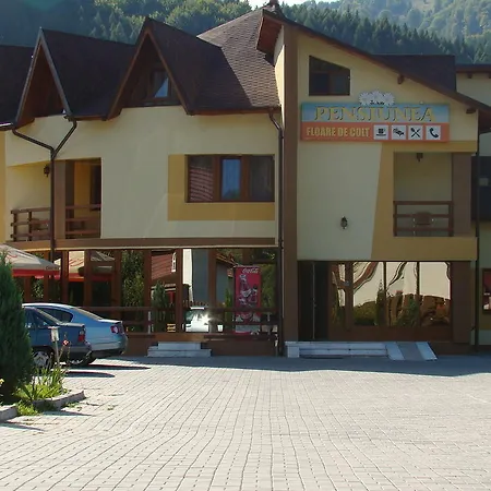 Pensiunea Floare De Colt Hotel Dragoslavele