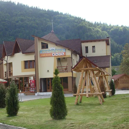 Hotel Pensiunea Floare De Colt