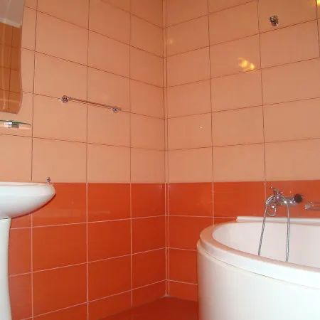 Pensiunea Floare De Colt 3*