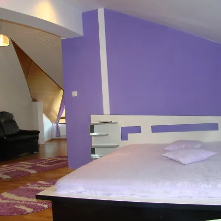 Hotel Pensiunea Floare De Colt