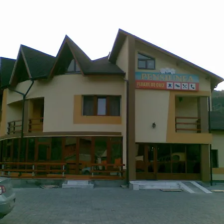 Pensiunea Floare De Colt 3* Dragoslavele